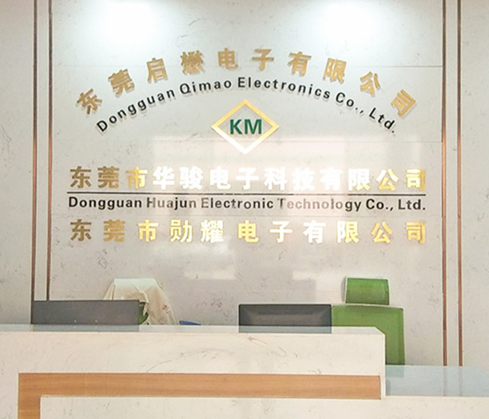 Dongguan Xunyao Electronic Technology Co., Ltd.